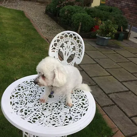 Vendégház Fealys *